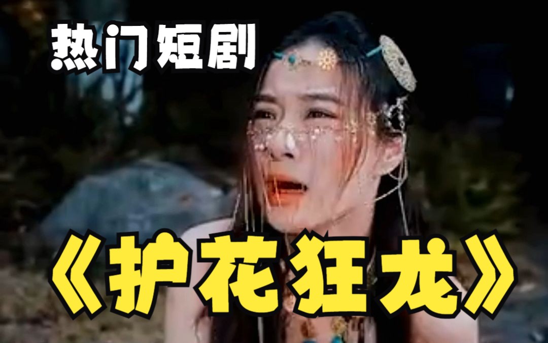 護(hù)花狂龍