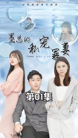墨總的私寵罪妻