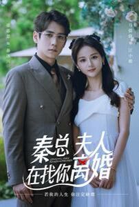 秦總，夫人在找你離婚