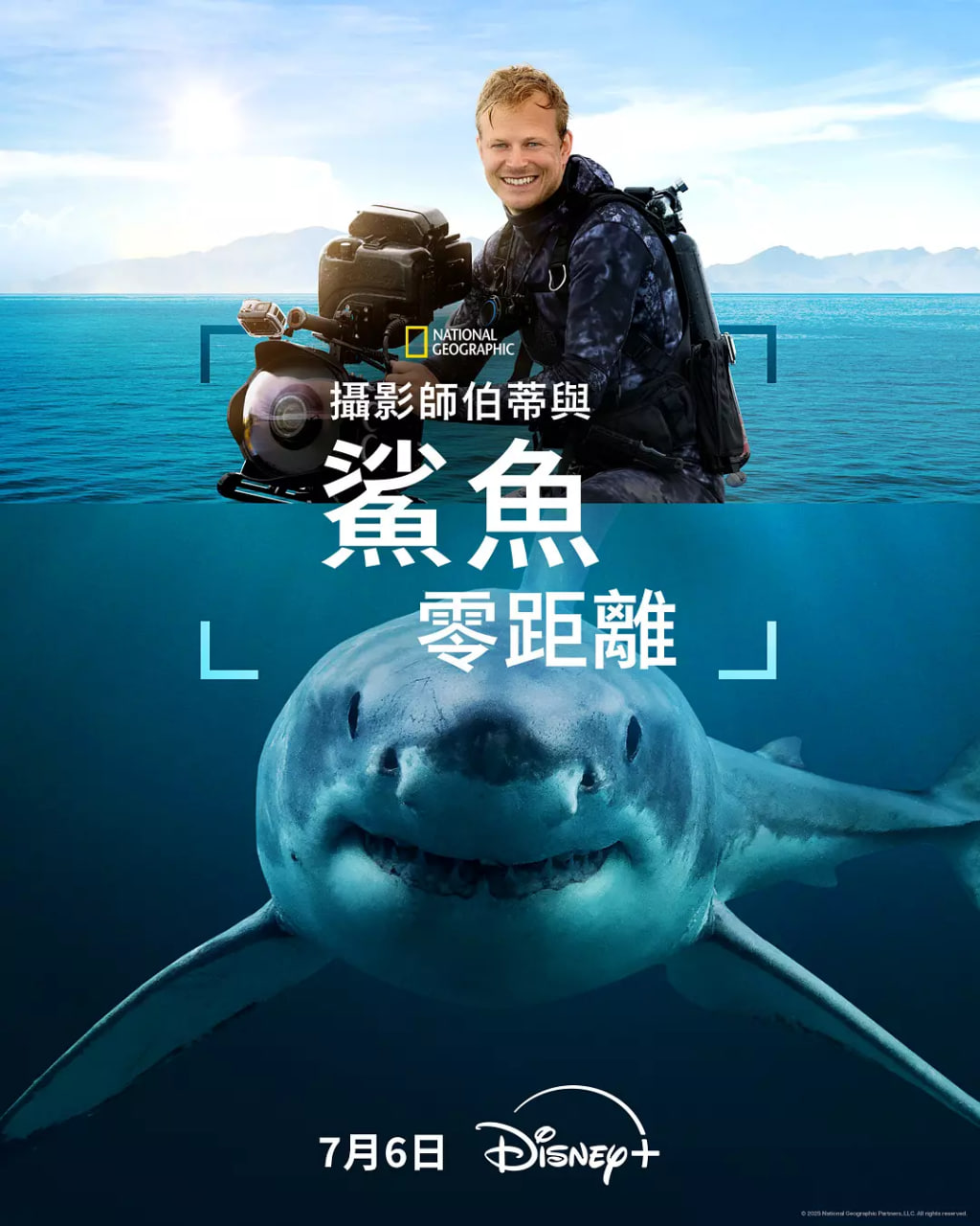 攝影師貝爾蒂與鯊魚零距離