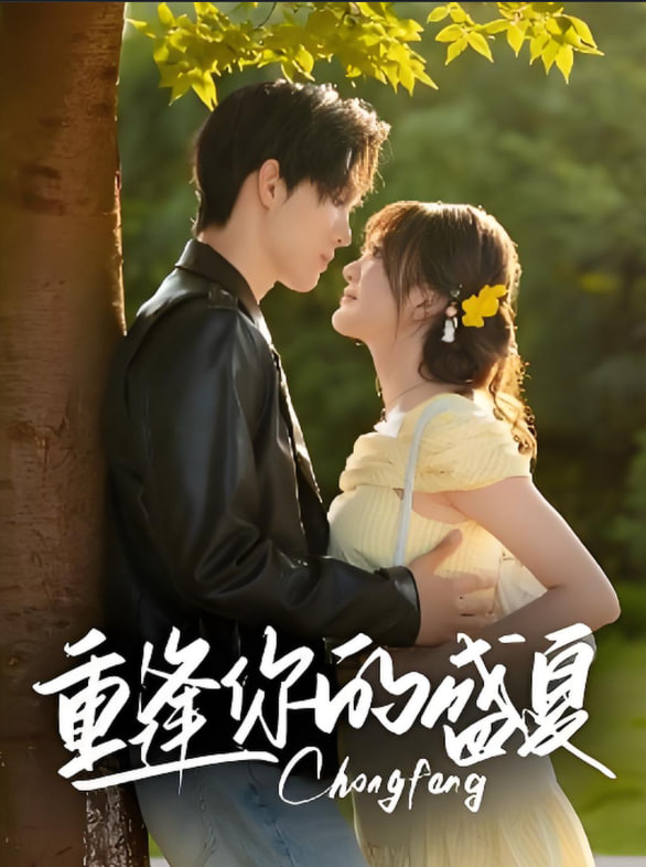 重逢你的盛夏