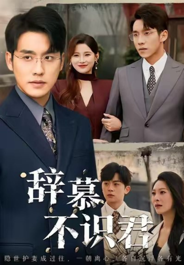 辞慕不识君(七年情深终成侮)