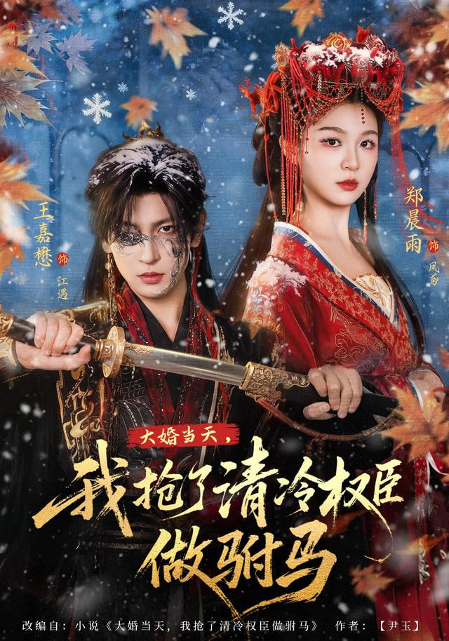 大婚当天，我抢了清冷权臣做驸马